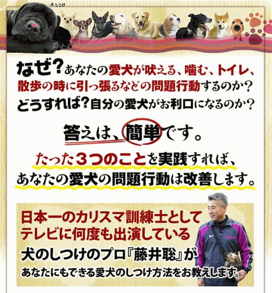 藤井聡の犬のしつけ方法の画像大.gif